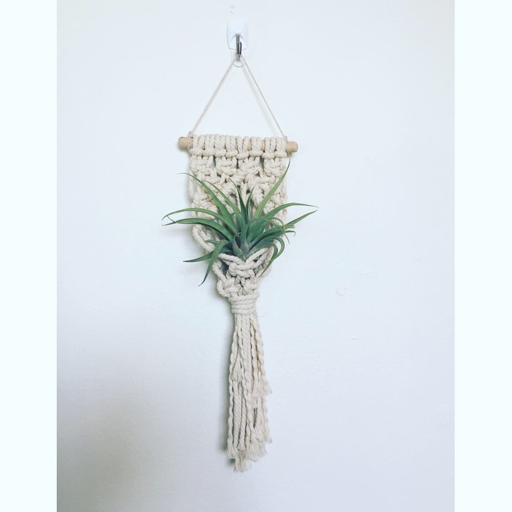 Boho Air Plant Hanger